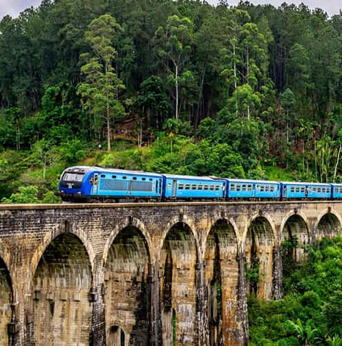 Train to Paradise