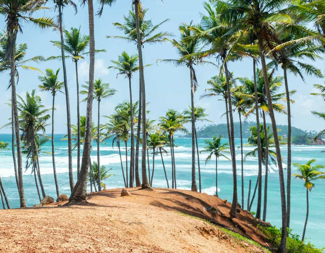 Seaside Thrills & Wilderness Wonders